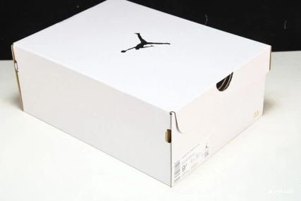 Reverse  DC0774-160 Toe Jordan Retro Black 1 Low 0821